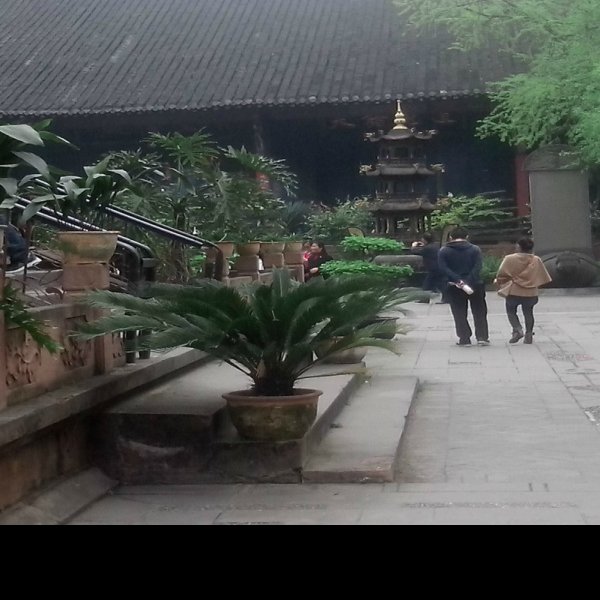 四川杜甫草堂景区 - 图片1