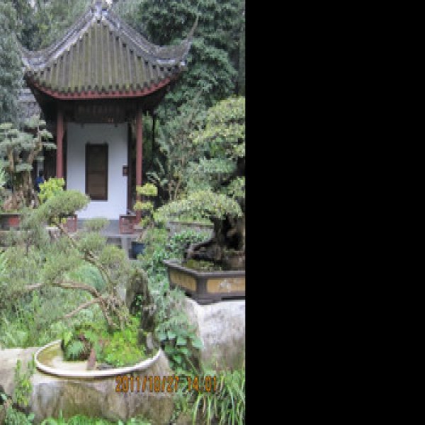 四川杜甫草堂景区 - 图片3