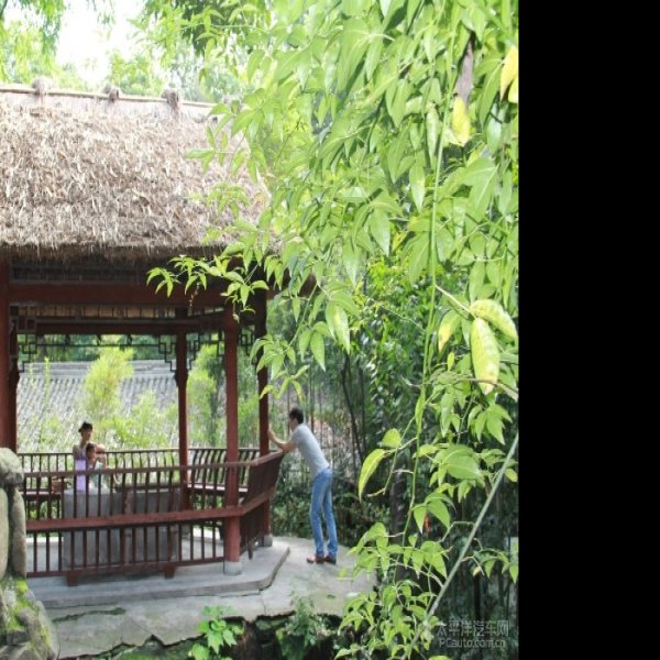 四川杜甫草堂景区 - 图片4