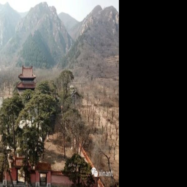 康陵 - 图片2