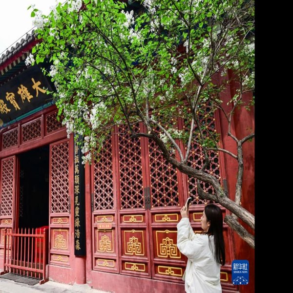 北京法源寺 - 图片10