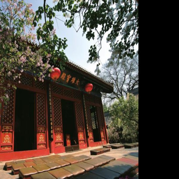 北京法源寺 - 图片7
