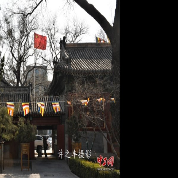 北京广济寺 - 图片6