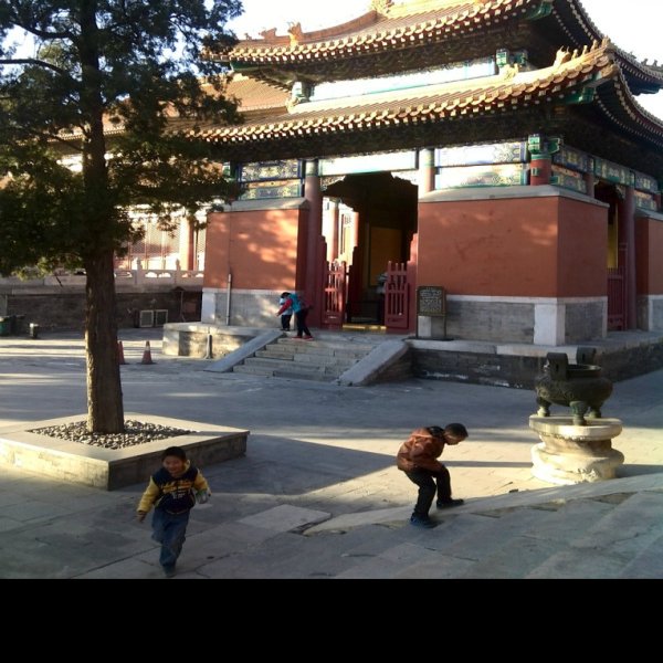 北京历代帝王庙 - 图片9