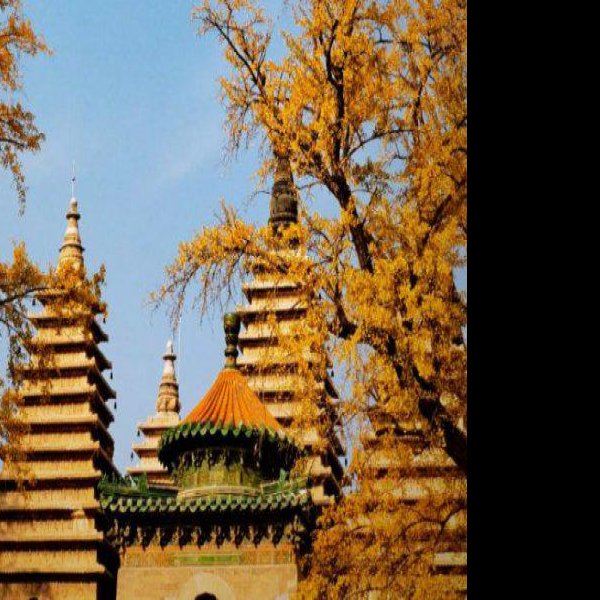 北京五塔寺 - 图片9