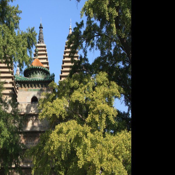 北京碧云寺 - 图片10