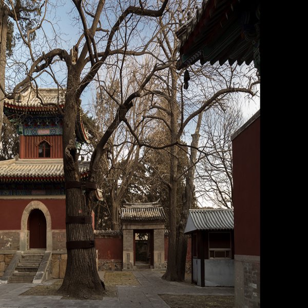 北京碧云寺 - 图片2