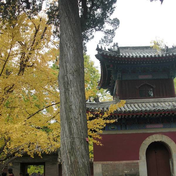 北京碧云寺 - 图片3