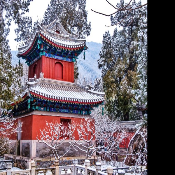 北京卧佛寺 - 图片4