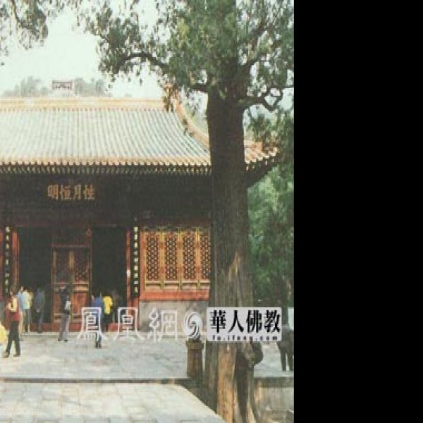 北京卧佛寺 - 图片5