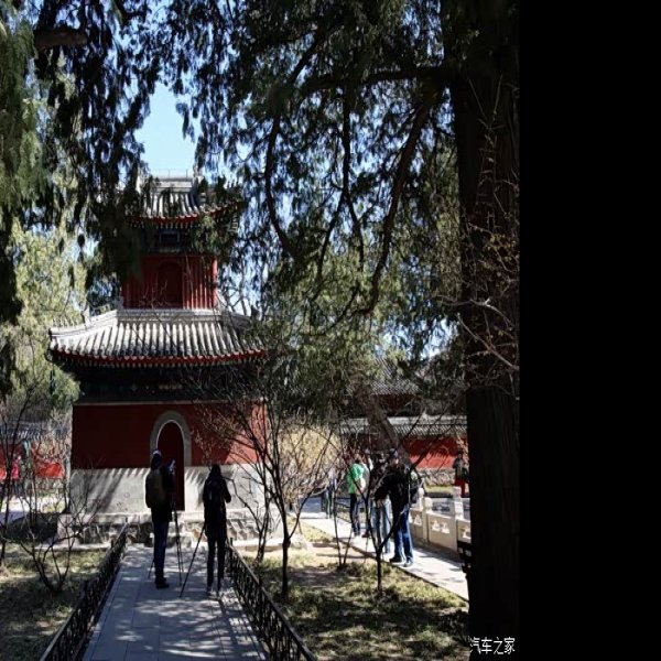 北京卧佛寺 - 图片9