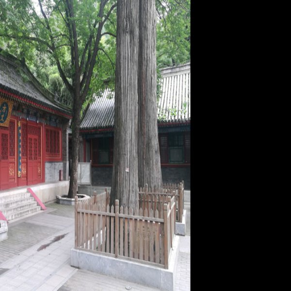 北京潭柘寺 - 图片3