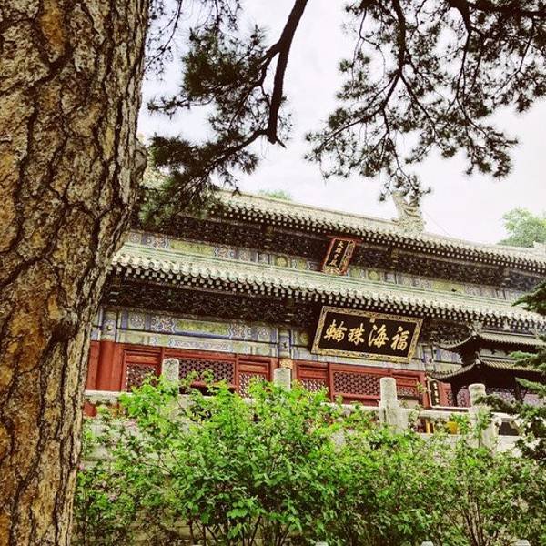 北京潭柘寺 - 图片7