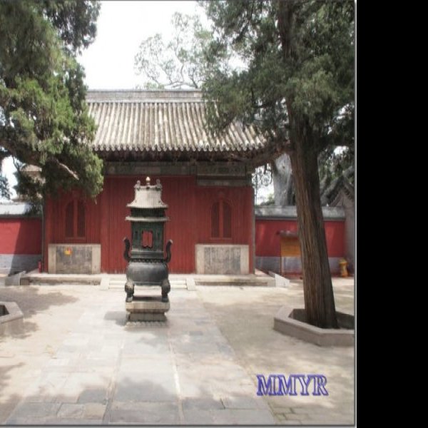 北京戒台寺 - 图片3