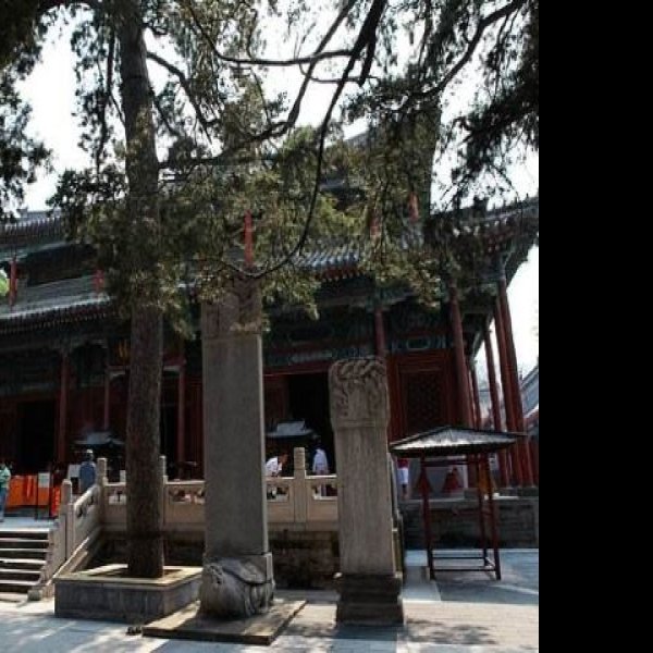 北京戒台寺 - 图片4