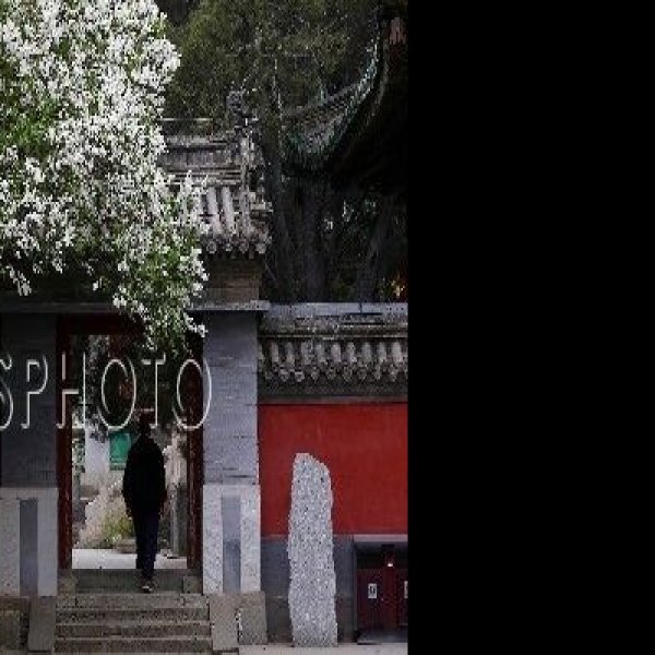 北京戒台寺 - 图片6