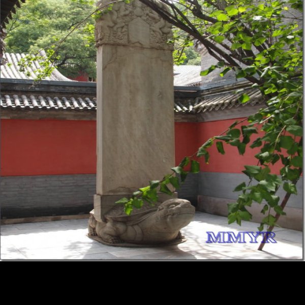 北京戒台寺 - 图片7