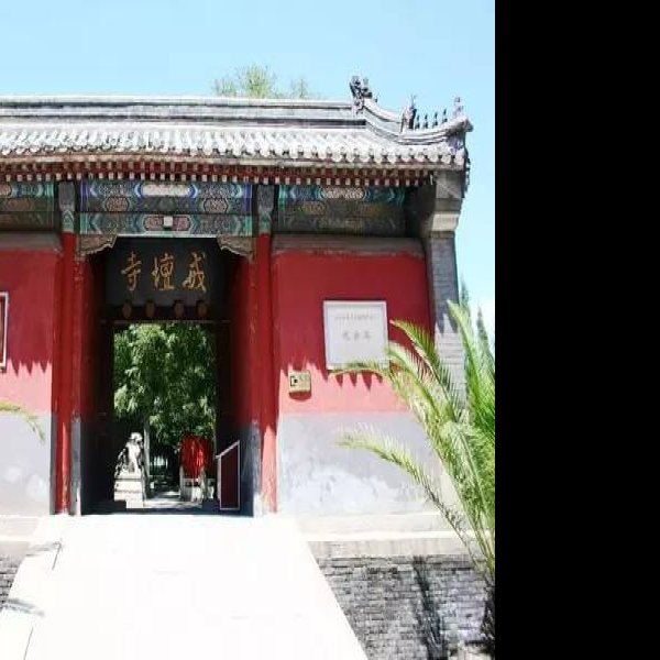 北京戒台寺 - 图片8