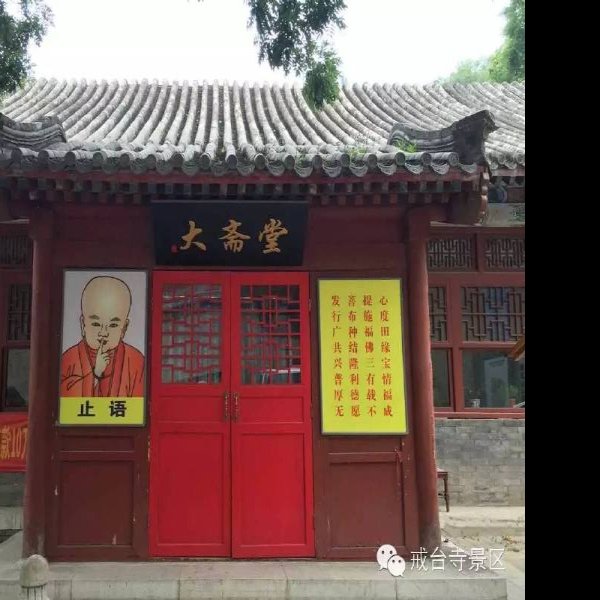 北京戒台寺 - 图片9