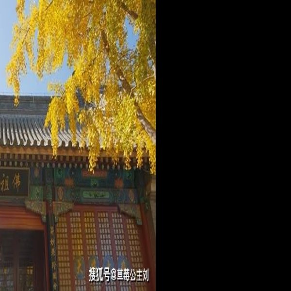 北京云居寺 - 图片10