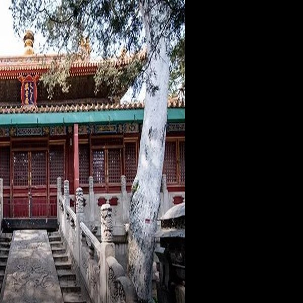 北京故宫御花园 - 图片10