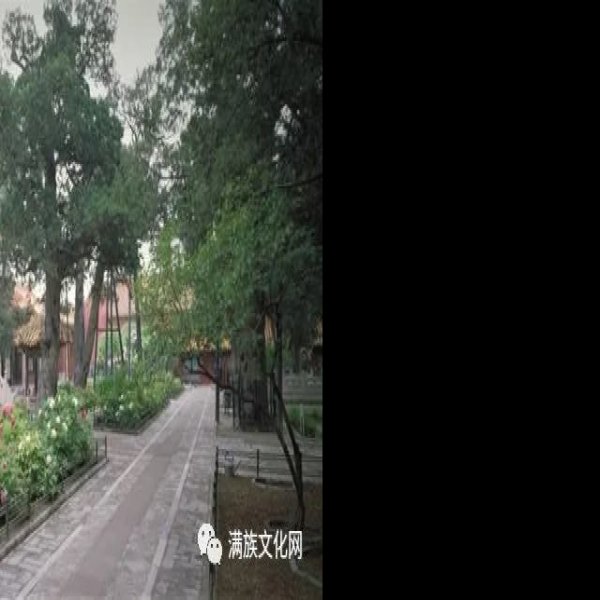 北京故宫御花园 - 图片3
