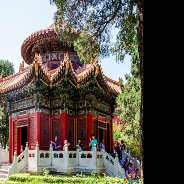 北京故宫御花园 - 图片6