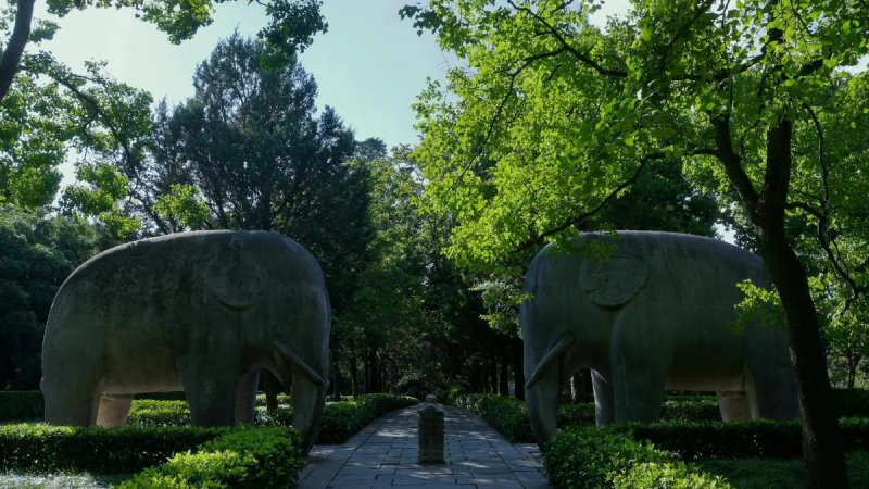 同里古镇 - 图片7