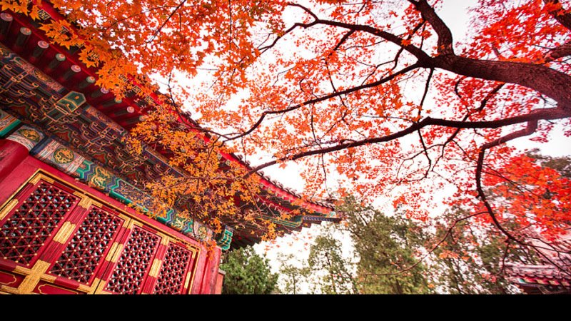 北京香山公园