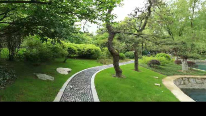 合肥逍遥津公园