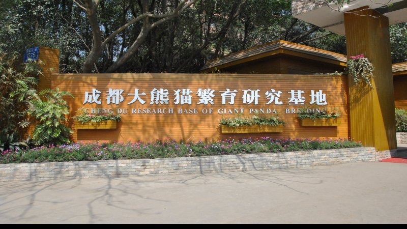 成都大熊猫繁育研究基地