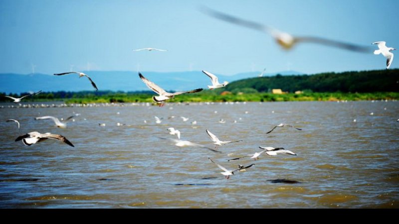 鸡西兴凯湖