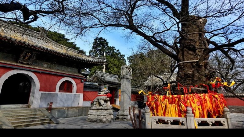戒台寺