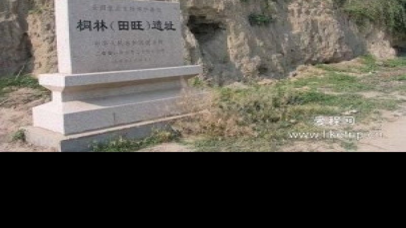 桐林遗址