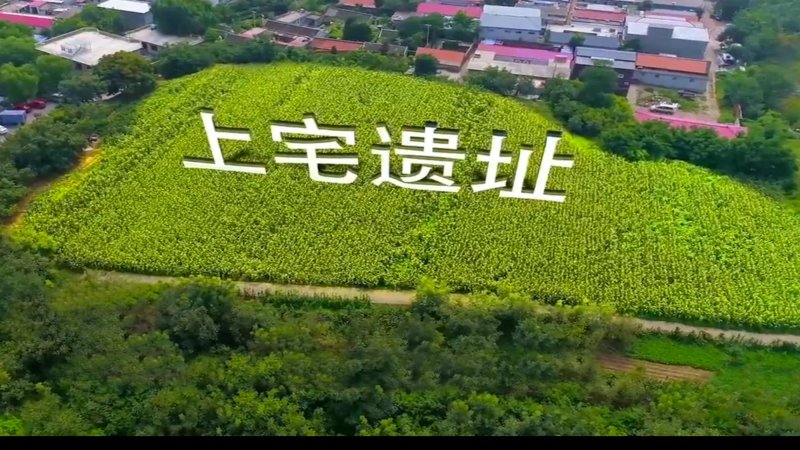 上宅遗址