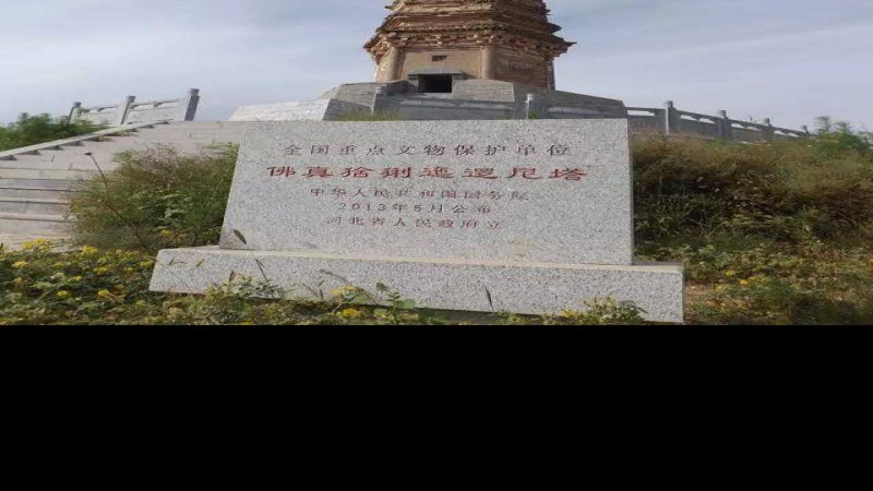 佛真猞猁迤逻尼塔