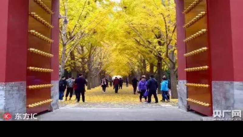 北京地坛