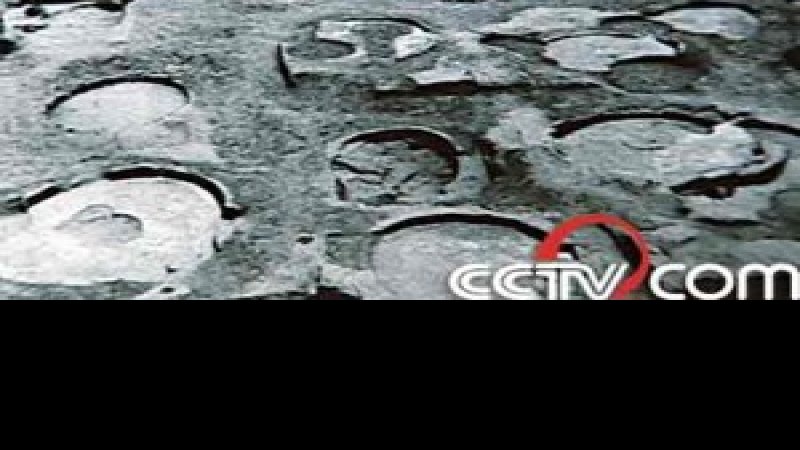 白营遗址