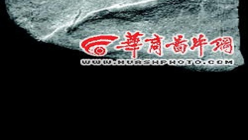 龙王辿遗址