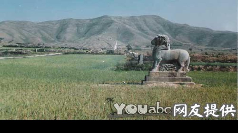 唐泰陵碑刻