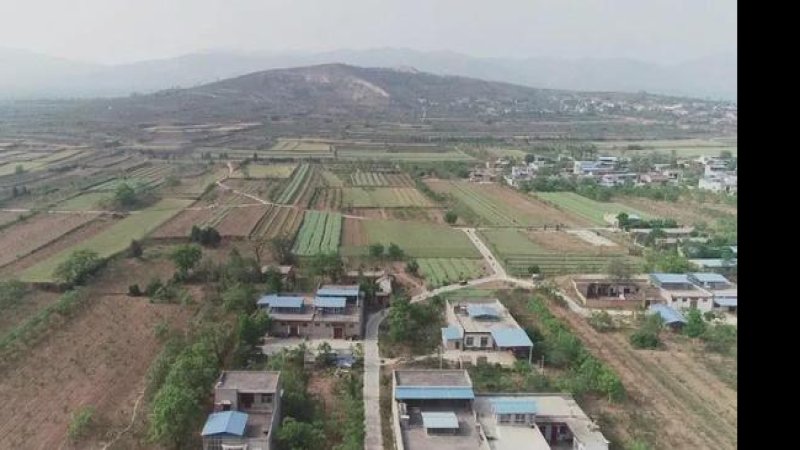 唐章陵碑刻