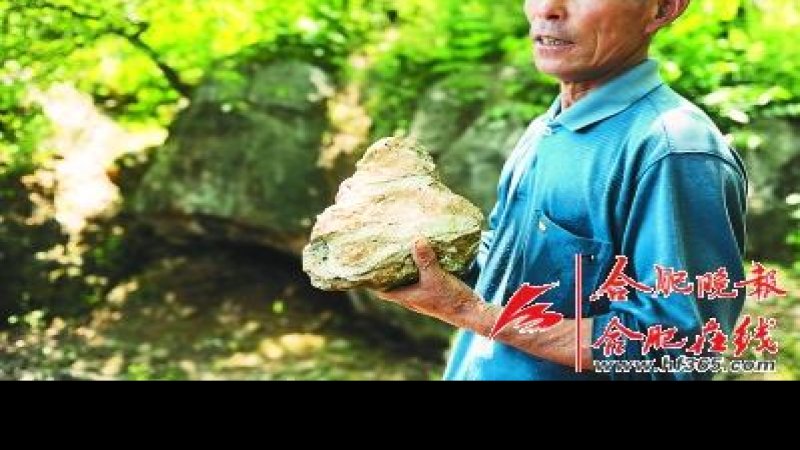 银山智人遗址