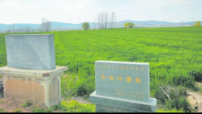 小山口遗址