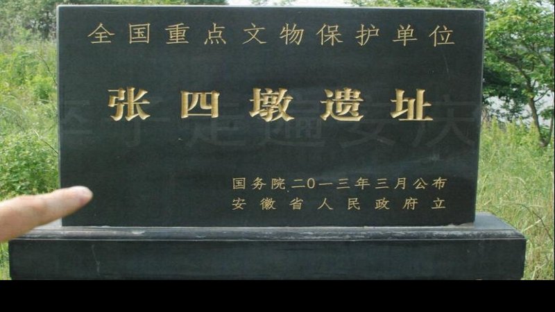 张四墩遗址