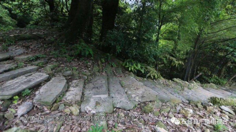 榉根关古徽道