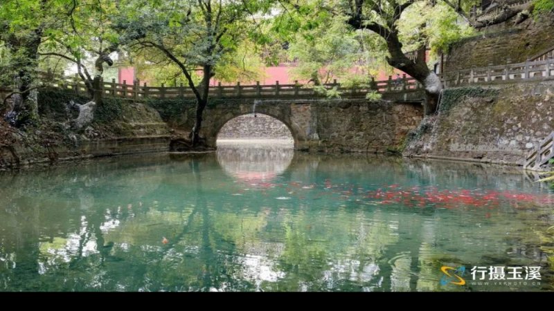 玉溪九龙池