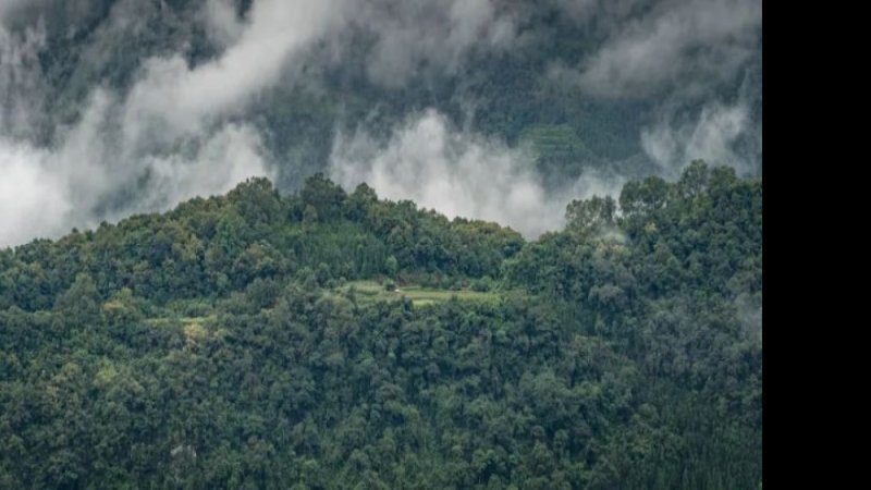 红河哀牢山