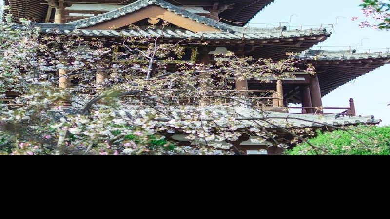 西安青龙寺