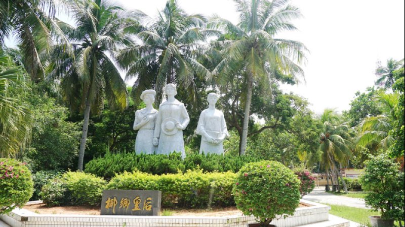 海南文昌东郊椰林