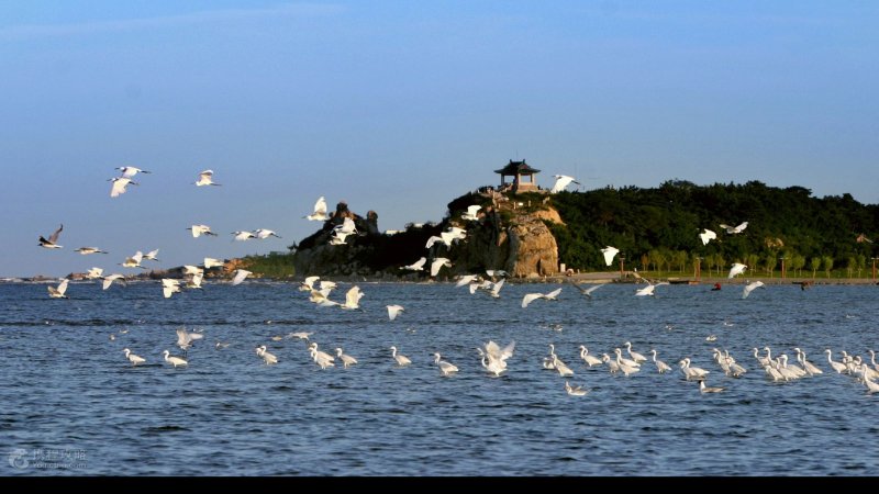 河北北戴河